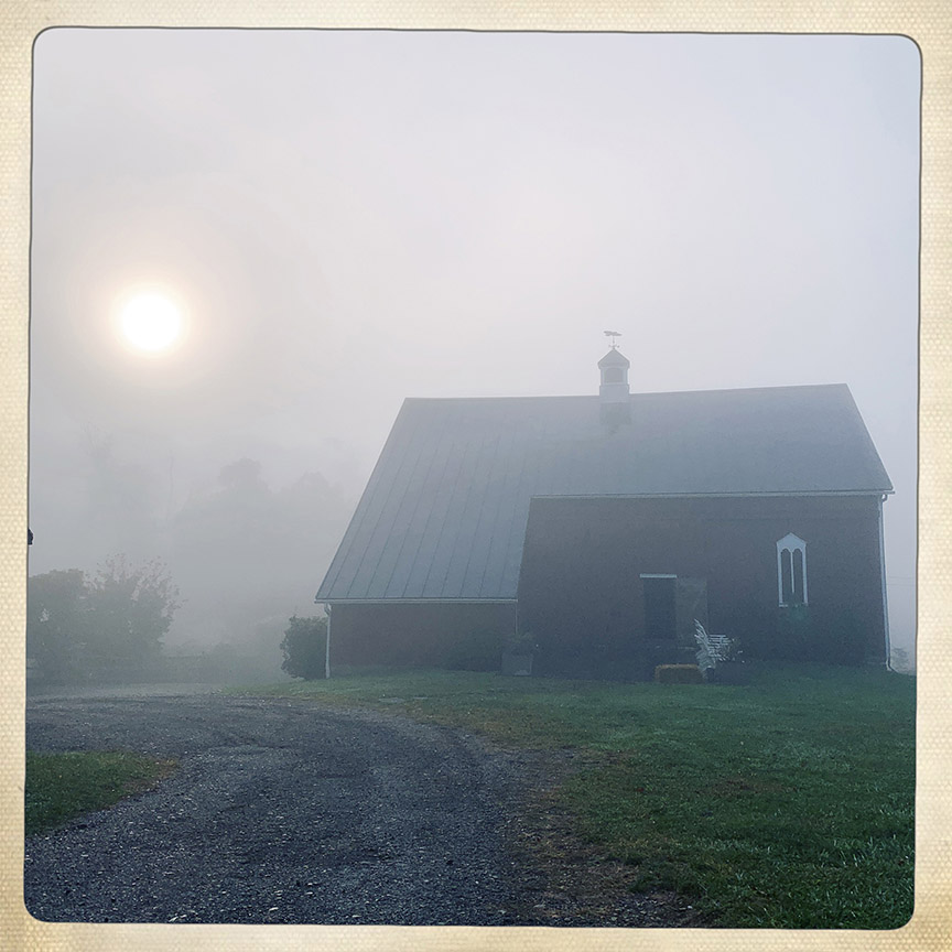 Fogbarnresized2