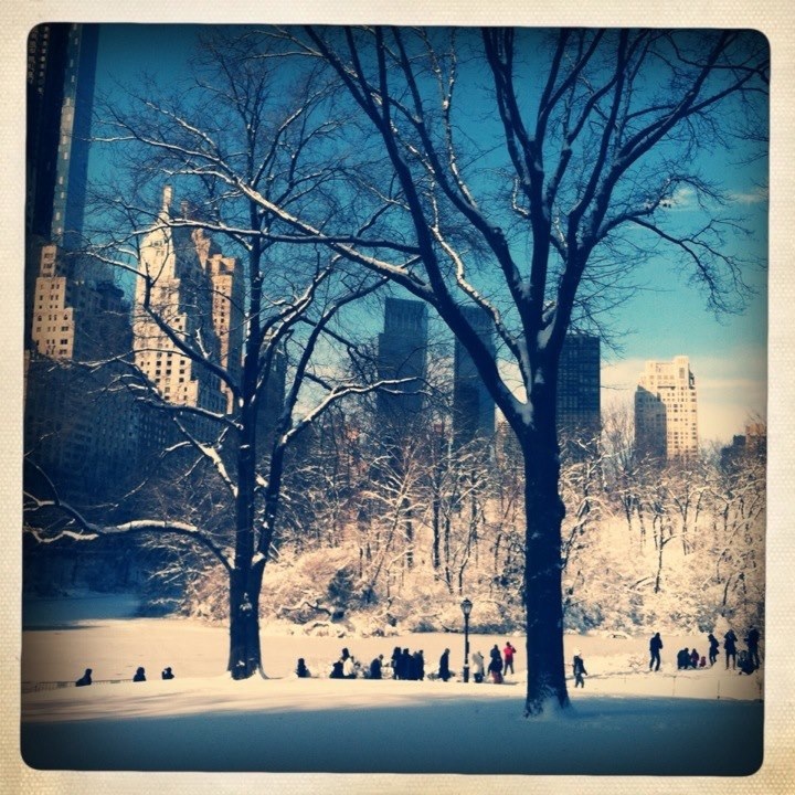 Snow in Central Park_2