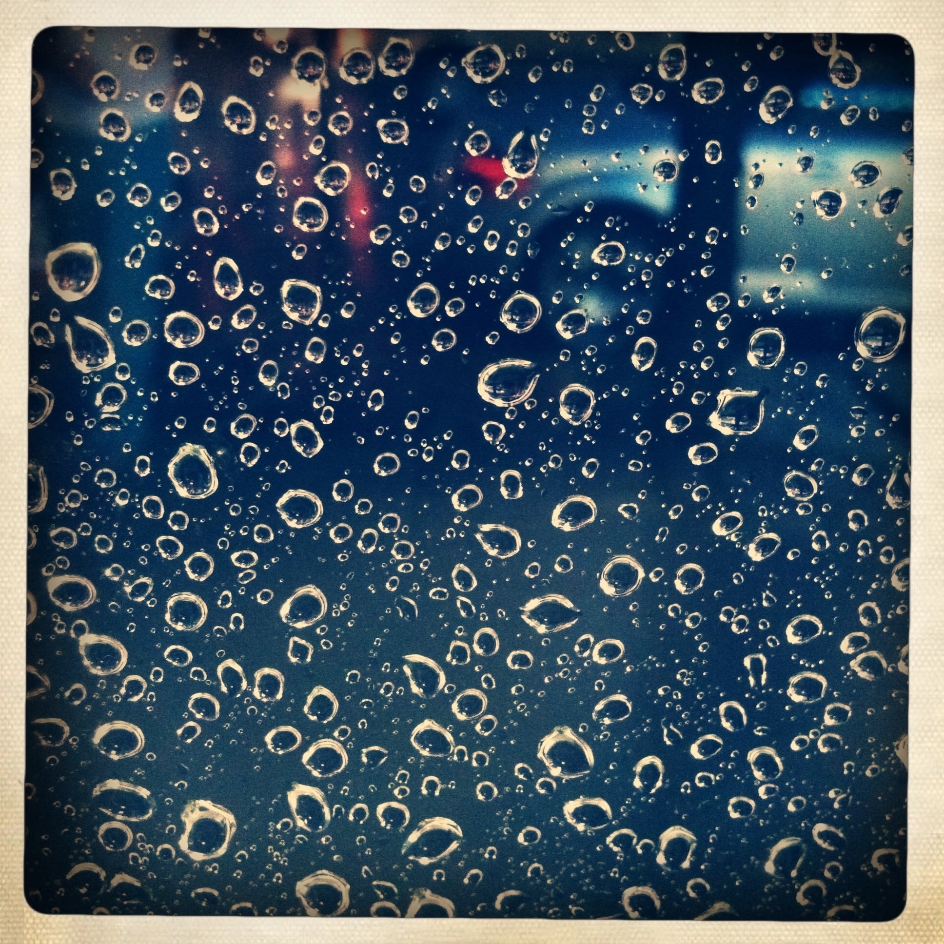 _Raindrops__Photographer - Carla Ercole