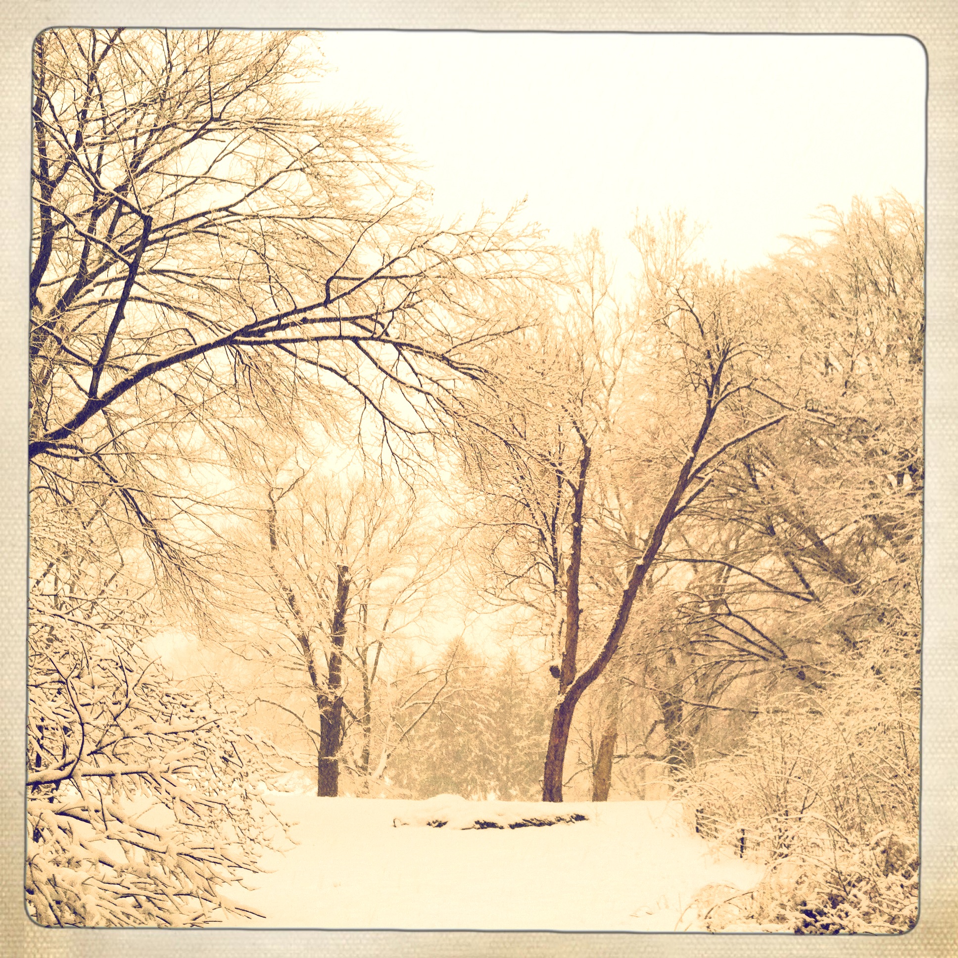 photo (25)