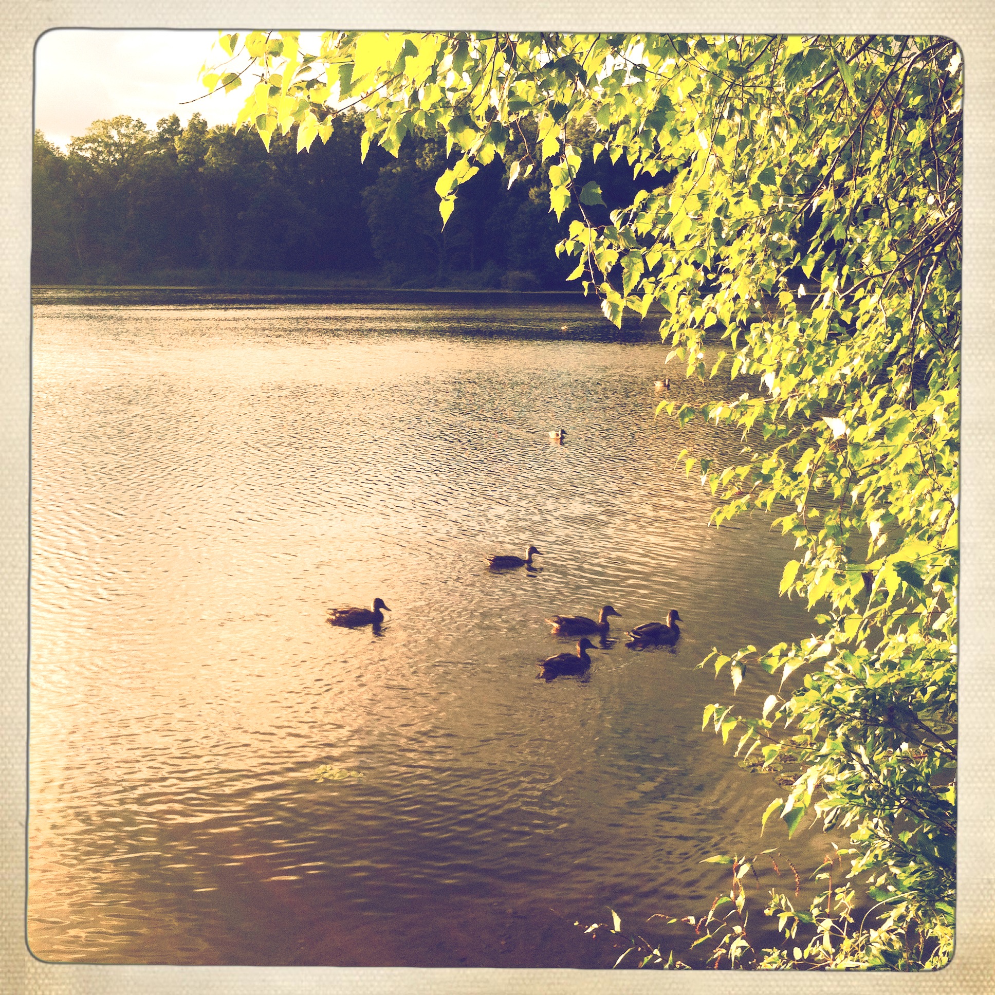 photo (27)