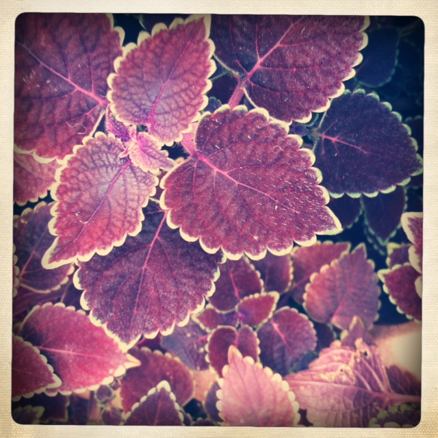 photo(5)